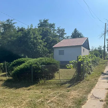 Bazsarozsa Kucko * Pecsvarad