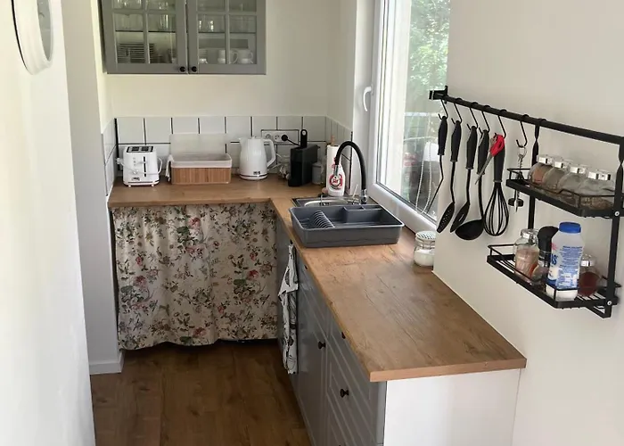 Bazsarozsa Kucko * Pecsvarad