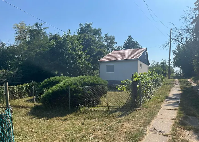 Bazsarozsa Kucko * Pecsvarad